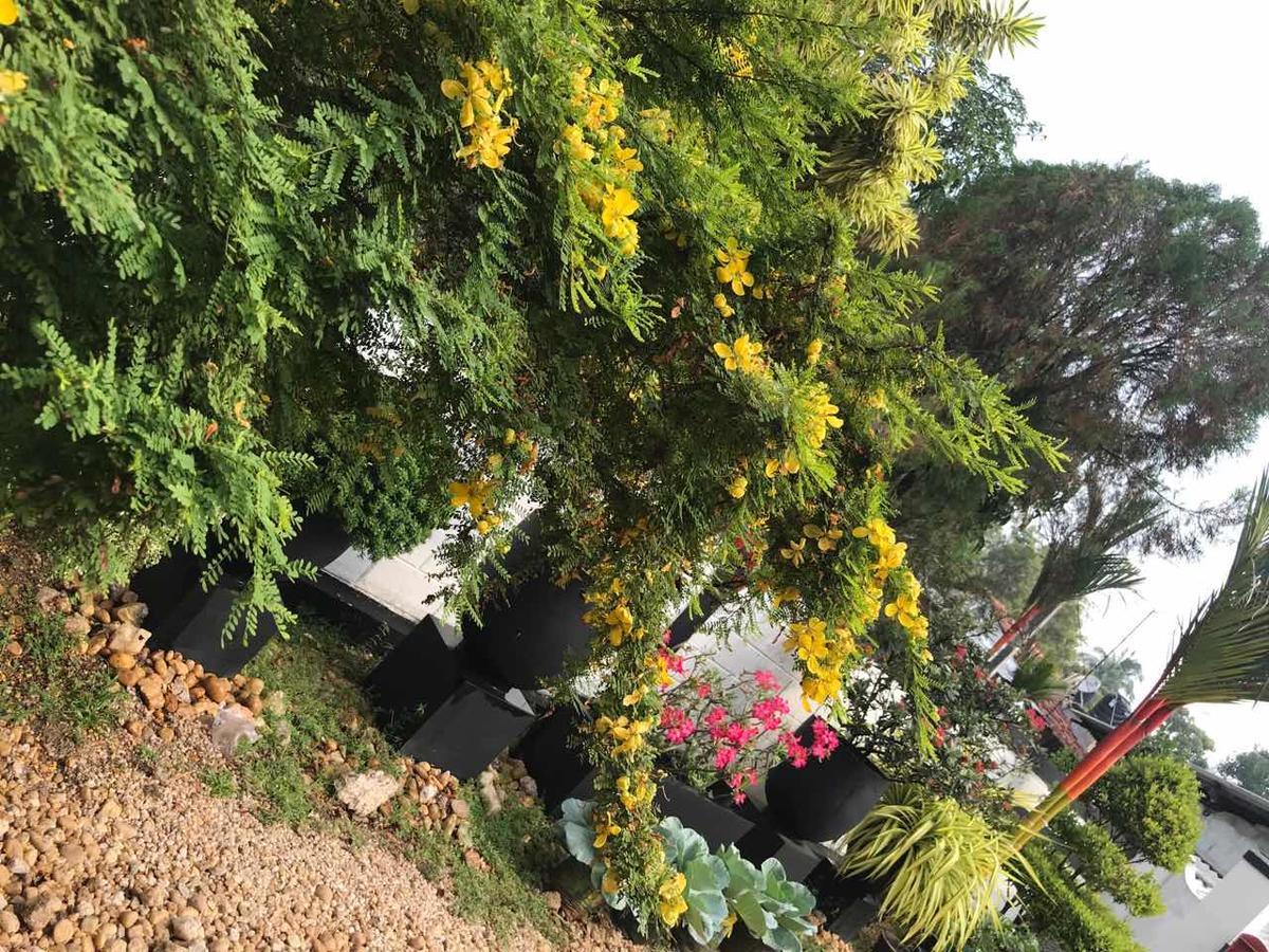 Ceylon Pearlwing Resort Negombo Dış mekan fotoğraf
